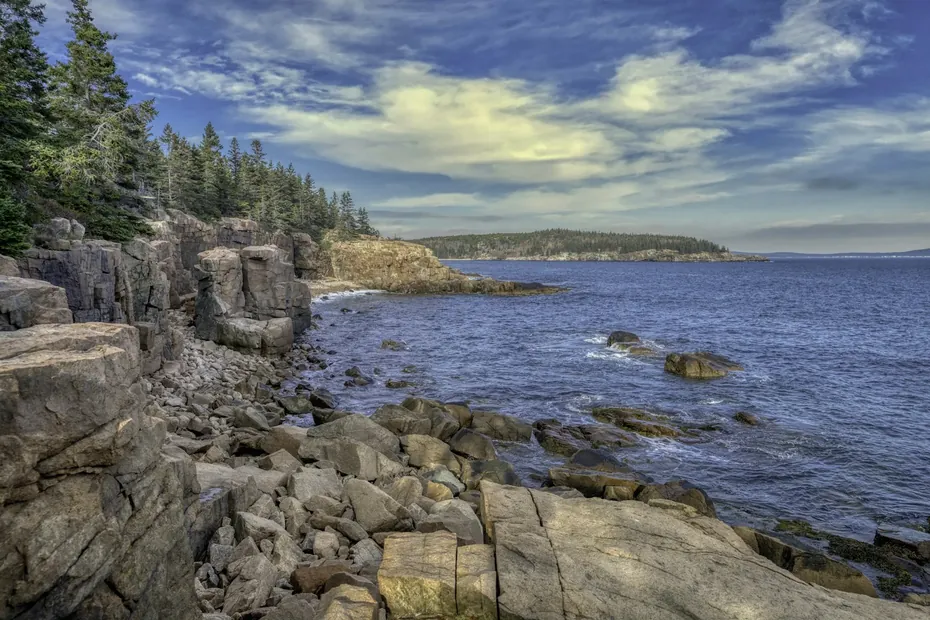 Rocky shoreline and evergreen trees along the coast of Acadia National Park