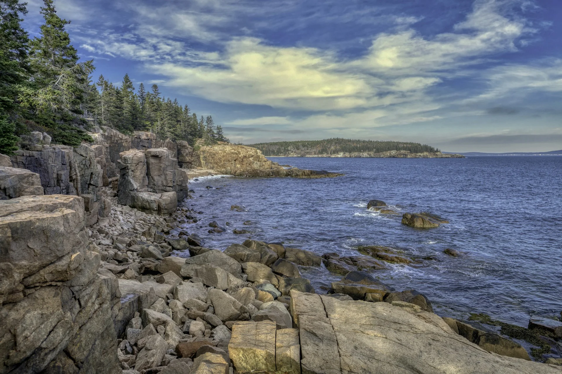 Rocky shoreline and evergreen trees along the coast of Acadia National Park